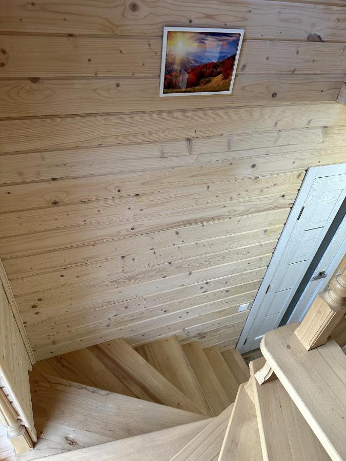 Carpathian Dream Apartments Yaremtche Extérieur photo